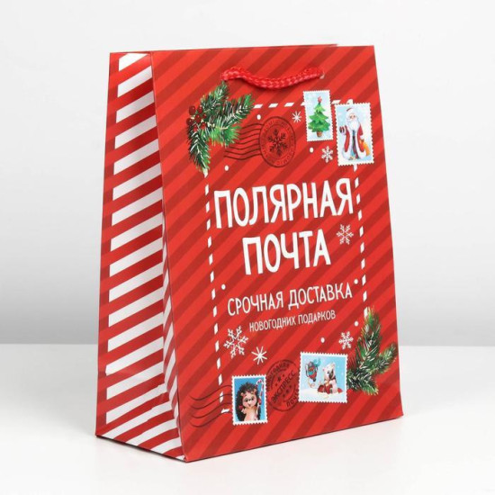 Пакет подарочный "Полярная почта", MS 18 х 23 х 8 см