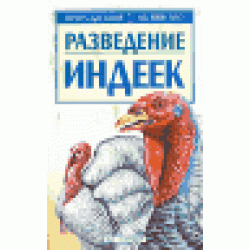 Разведение индеек