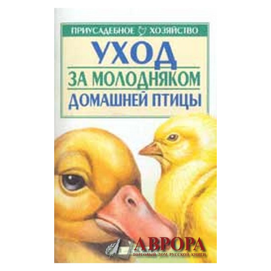 Приусадебное хозяйство. Уход за молодняком домашней птицы